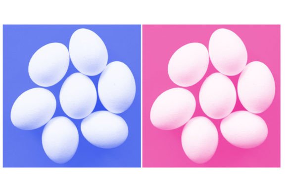 Mastering Digital Texture: A Comprehensive Guide to the White Egg Brush
