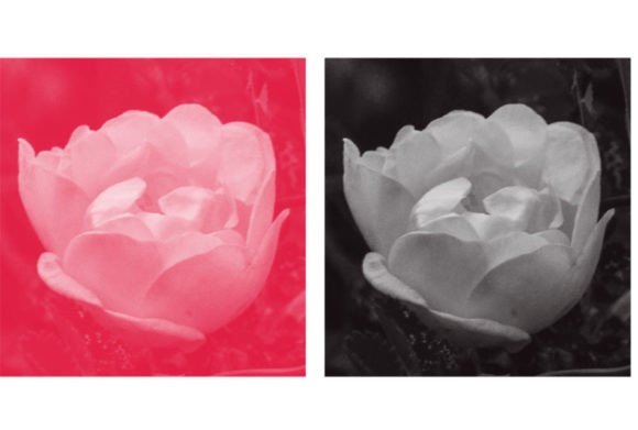 Unlocking Creativity with the 42Brush Set